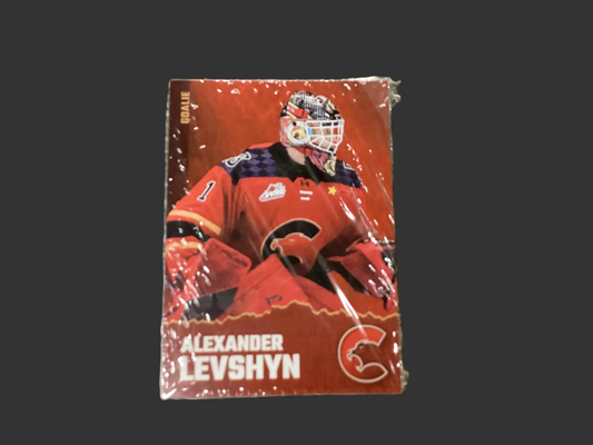 2025-2026 Hockey Cards