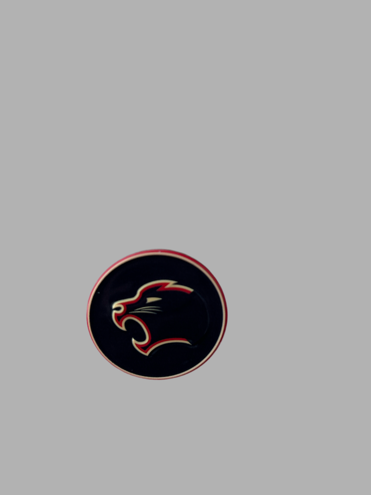 Large Lapel Pin