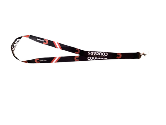 Lanyard